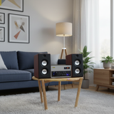 Dàn Hifi âm ly rời Amply W200  loa W60 Hippie style.