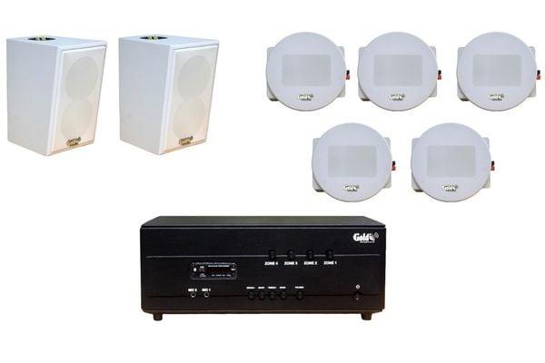 Top 11 loa âm trần, treo tường nhà biệt thự mới xây cao cấp nhất thị trường