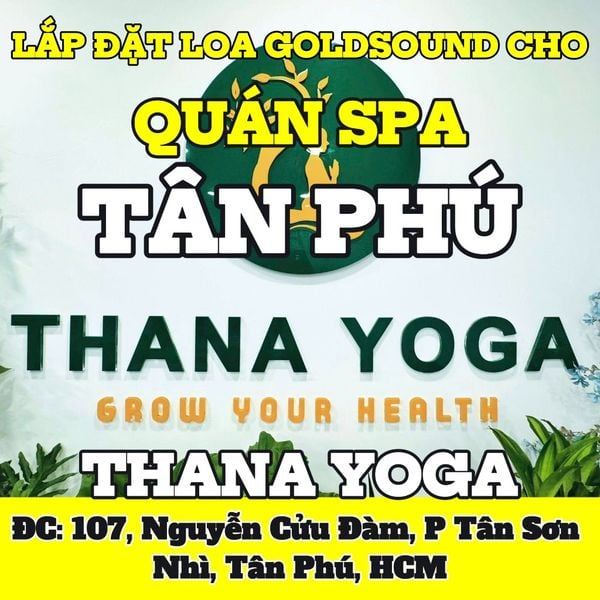 Loa cho Thana Yoga - Quận Tân Phú, loa được thiết kế riêng cho quán, bật lớn không tạp âm, miễn phí công lắp đặt, bảo hành dài hạn 5 năm