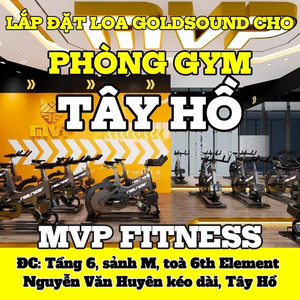 Loa phòng gym, fitness cho MVP FITNESS Nguyễn Văn Huyên, TP Hà Nội, loa được thiết kế riêng cho quán, bật lớn không tạp âm, miễn phí công lắp đặt, bảo hành dài hạn 5 năm
