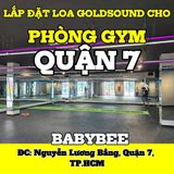 Loa treo tường phát nhạc nền cho tự động cho phòng tập BabyBee, TP.HCM, loa được thiết kế riêng cho quán, bật lớn không tạp âm, miễn phí công lắp đặt, bảo hành dài hạn 5 năm