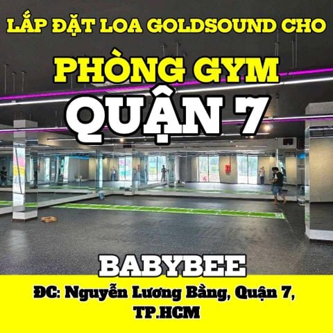 Loa treo tường phát nhạc nền cho tự động cho phòng tập BabyBee, TP.HCM, loa được thiết kế riêng cho quán, bật lớn không tạp âm, miễn phí công lắp đặt, bảo hành dài hạn 5 năm