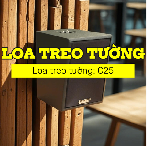 Loa vệ tinh treo tường C25 màu đen (số lượng 01 loa), công suất 23w, loa bass 4 inch, treble 5 cm, kích thước rộng 17 cm, cao 24 cm, sâu 22.5 cm, bảo hành dài hạn 5 năm.