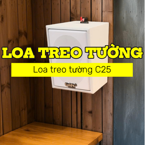 Loa vệ tinh treo tường C25 màu trắng (số lượng 01 loa), công suất 23w, loa bass 4 inch, treble 5 cm, kích thước rộng 17 cm, cao 24 cm, sâu 22.5 cm, bảo hành dài hạn 5 năm.