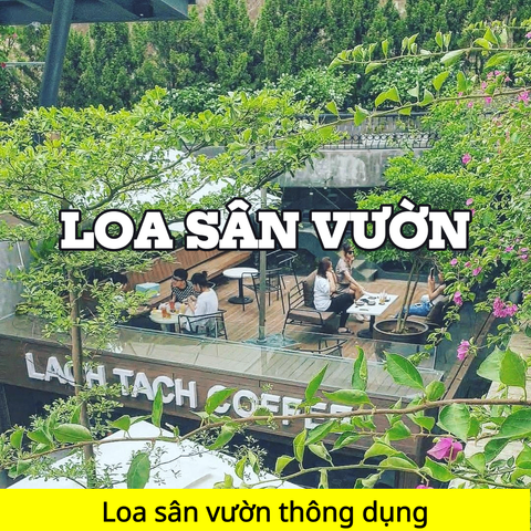 Top 12 loa sân vườn thông dụng nhất hiện nay trên thị trường