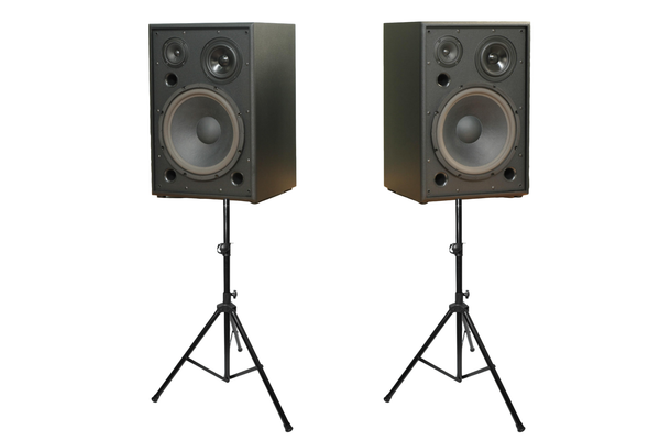 Loa sân khấu, hội thảo, hội nghị, phòng họp, hội trường C255 Gold4Acoustic (số lượng 1 loa): công suất 255w, loa bass 30 cm, loa mid 14.5 cm, treble 10 cm, kích thước rộng 38 cm, cao 57 cm, sâu 32 cm, bảo hành dài hạn 5 năm.