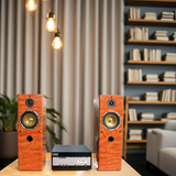 Dàn loa cây karaoke gia đình V610