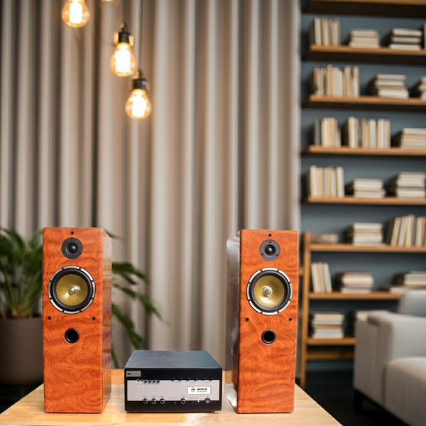 Dàn loa cây karaoke gia đình V610