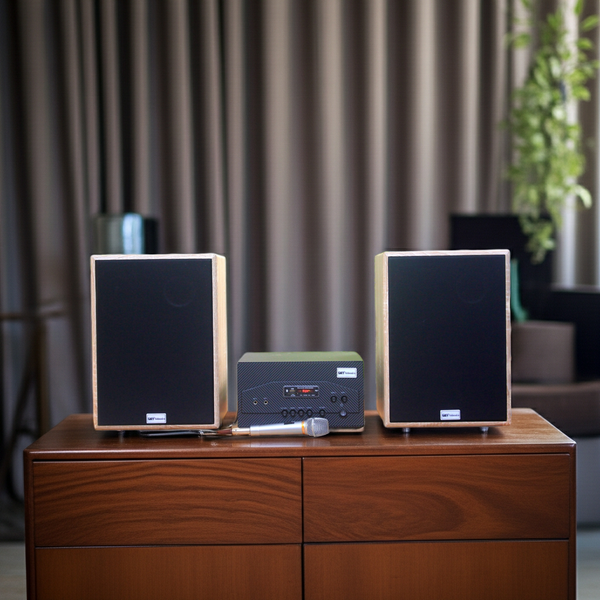 Dàn loa karaoke gia đình: 1 Amply A907 + 2 V231 + Micro dây