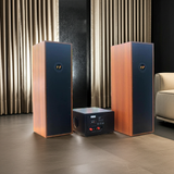Dàn loa cây karaoke gia đình: V610 Black (01 âm ly 370w + cặp loa V610)