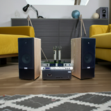 Dàn loa cây karaoke gia đình K385 vân gỗ sáng (01 amply 1200w + 02 loa 380w + 01 vang cơ + bộ Micro không dây)