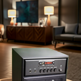 Loa karaoke Bluetooth W242 (giá không micro)