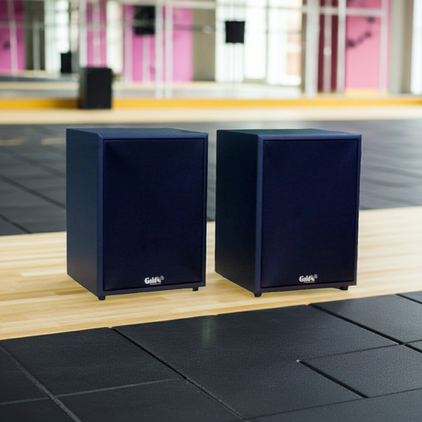 Loa vệ tinh treo tường V120 SG 120w Goldsound (Số lượng 1 loa), công suất 120w, loa bass 20 cm, treble 10 cm, kích thước rộng 28 cm, cao 39.5 cm, sâu 27 cm, bảo hành dài hạn 5 năm.