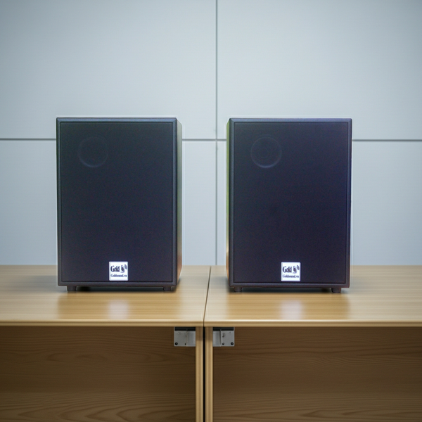 Loa hội trường V230 TH Goldsound (Số lượng 1 loa) công suất 200w, loa bass 25 cm, treble 10 cm, kích thước rộng 32 cm, cao 47 cm, sâu 31 cm, bảo hành dài hạn 5 năm.