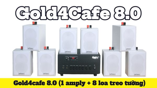 Loa treo tường thông báo phát nhạc nền tự động Gold4cafe 8.0 (01 amply + 08 loa treo tường màu trắng), Amply 2 vùng âm lượng, loa được thiết kế riêng cho quán, bật lớn không tạp âm, bảo hành dài hạn 5 năm.