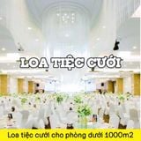 Top 1 dòng loa chuyên cho nhà hàng tiệc cưới cho phòng dưới 1000 m2