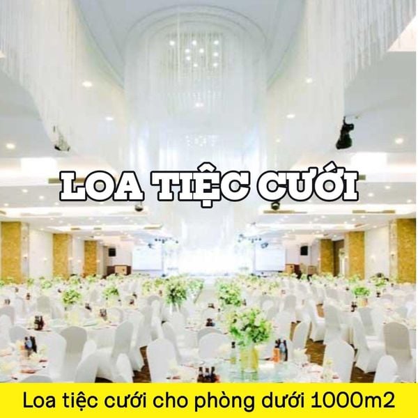 Top 1 dòng loa chuyên cho nhà hàng tiệc cưới cho phòng dưới 1000 m2