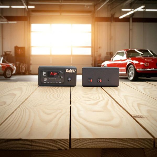 Loa xe ô tô, loa xe khách, loa xe tải, loa xe du lịch: A120 CAR + 6 V40CAR Goldsound