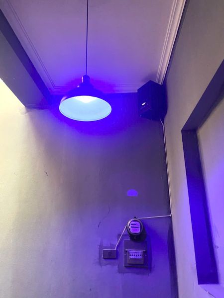 Loa không dây phát nhạc nền tự động Goldsound cho quán Luna Hanoi - snack Bar, loa được thiết kế riêng cho quán, bật lớn không tạp âm, miễn phí công lắp đặt, bảo hành dài hạn 5 năm