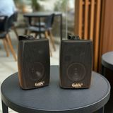Loa treo tường V151 Goldsound có biến áp (25w, bass 4 inch) (1 loa)