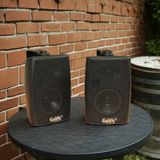 Loa treo tường V151 Goldsound có biến áp (25w, bass 4 inch) (1 loa)