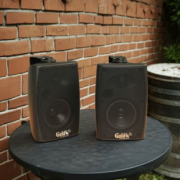 Loa treo tường V151 Goldsound có biến áp (25w, bass 4 inch) (1 loa)