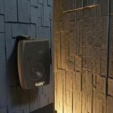 Loa treo tường bluetooth TR151 (25w, bass 4 inch, Bluetooth, tích hợp âm ly)