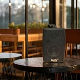 Loa treo tường bluetooth TR151 (25w, bass 4 inch, Bluetooth, tích hợp âm ly)