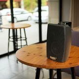 Loa treo tường bluetooth TR151 (25w, bass 4 inch, Bluetooth, tích hợp âm ly)
