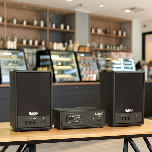 Loa treo tường không dây C50 UHF Goldsound (1 chiếc), công suất 50w, loa bass 5 inch, treble 2 inch, kích thước rộng 20 cm, cao 32 cm, sâu 20 cm, phủ da cao cấp, bảo hành dài hạn 5 năm.