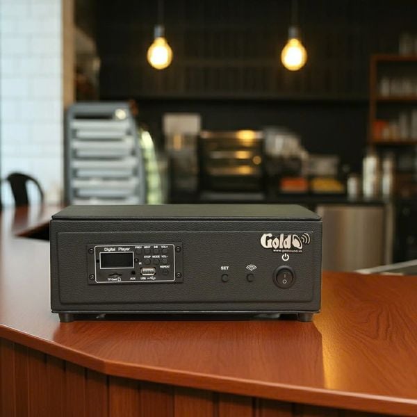 Amply không dây A50 Goldsound (Bluetooth, USB, AUX...phát sóng UHF)
