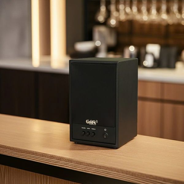 Dàn loa treo tường không dây, loa thông báo, loa phát nhạc tự động: 01 amply A50 Goldsound + 2 loa không dây C50 UHF Goldsound