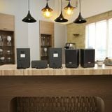 Dàn loa treo tường không dây, loa thông báo, loa phát nhạc tự động: 01 amply A50 Goldsound + 4 loa không dây C50 UHF Goldsound