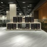 Dàn loa treo tường không dây, loa thông báo, loa phát nhạc tự động: 01 amply A50 Goldsound + 10 loa không dây C50 UHF Goldsound