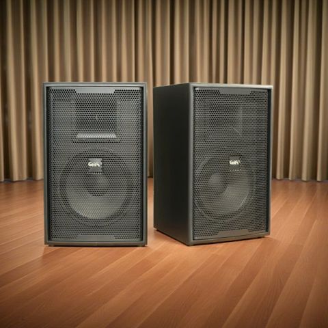 Loa C257 Goldsound (Số lượng 1 loa): (bass 30 cm, treble kèn, 400/600W, kích thước rộng 39 cm, cao 60.5 cm, sâu 39 cm, phủ da PVC cao cấp, bảo hành dài hạn 5 năm.