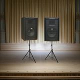 Loa âm thanh sân khấu, hội trường, hội thảo, hội nghị, phòng họp C257 (Số lượng 1 loa): (bass 30 cm, treble kèn, 400/600W, kích thước rộng 39 cm, cao 60.5 cm, sâu 39 cm, phủ da PVC cao cấp, bảo hành dài hạn 5 năm.