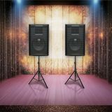 Dàn âm thanh sân khấu, loa hội trường, hội thảo, hội nghị, kinh doanh karaoke C257TR2