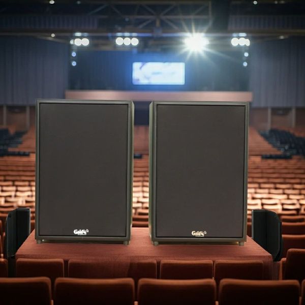 Loa sân khấu, hội thảo, hội nghị, phòng họp, hội trường C220 (số lượng 1 loa) công suất 200w, loa bass 25 cm, treble 10 cm, kích thước rộng 32 cm, cao 47 cm, sâu 31 cm, phủ da PVC cao cấp, bảo hành dài hạn 5 năm.