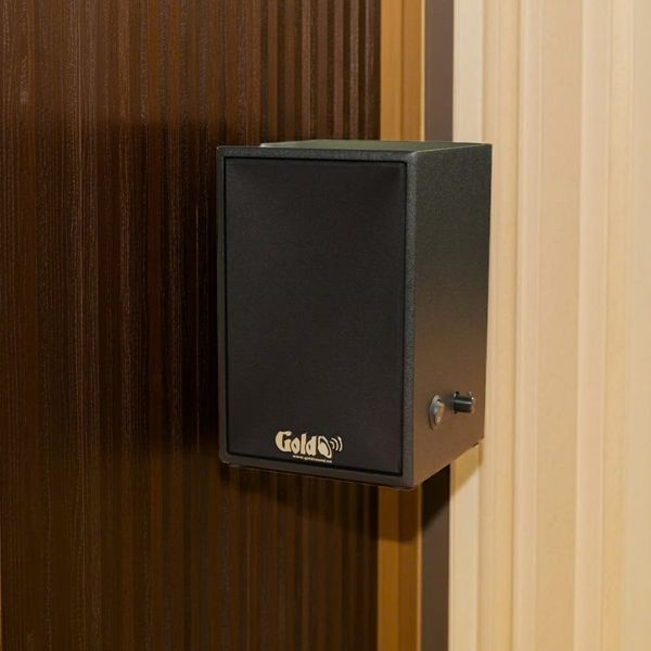 Loa không dây treo tường V30 UHF Goldsound, công suất 30w, loa bass 3 inch, kích thước rộng 14.5 cm, cao 21.5 cm, sâu 15 cm, bảo hành dài hạn 5 năm.