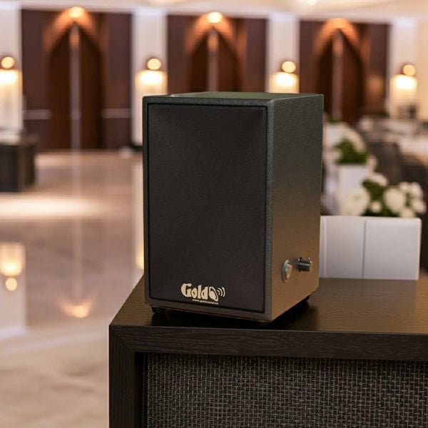 Loa không dây treo tường V30 UHF Goldsound, công suất 30w, loa bass 3 inch, kích thước rộng 14.5 cm, cao 21.5 cm, sâu 15 cm, bảo hành dài hạn 5 năm.