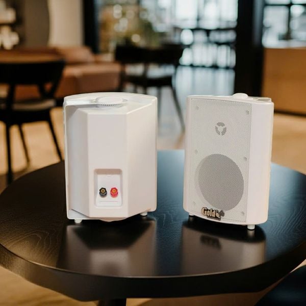 Loa hộp treo tường H26: loa phát nhạc nền, thông báo...