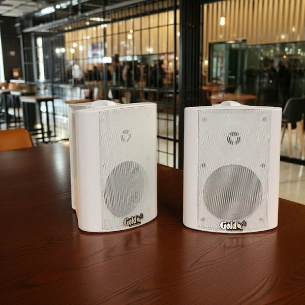 Loa hộp treo tường H27: loa phát nhạc nền, thông báo...