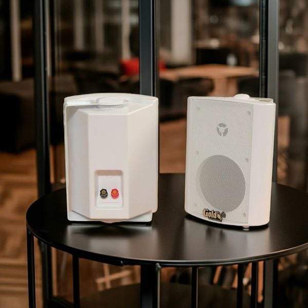 Loa hộp treo tường H27: loa phát nhạc nền, thông báo...