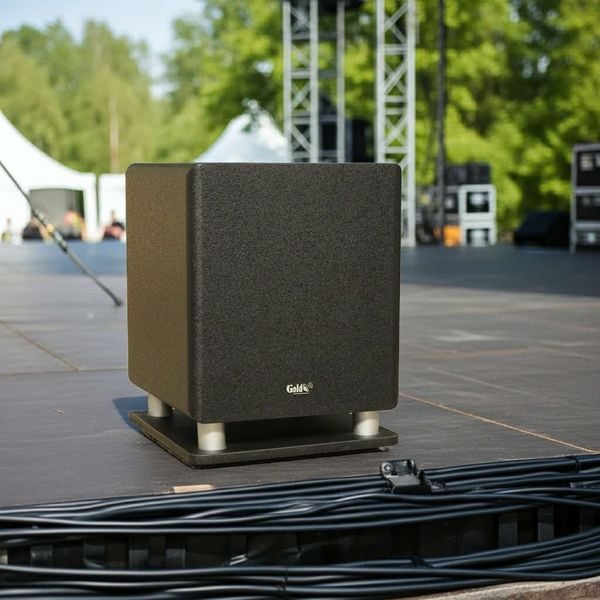 Loa Sub điện D57 (570w, bass 30)
