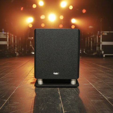 Loa Sub điện D57 (570w, bass 30)