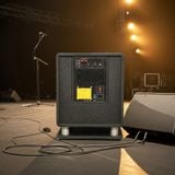 Loa Sub điện D57 (570w, bass 30)