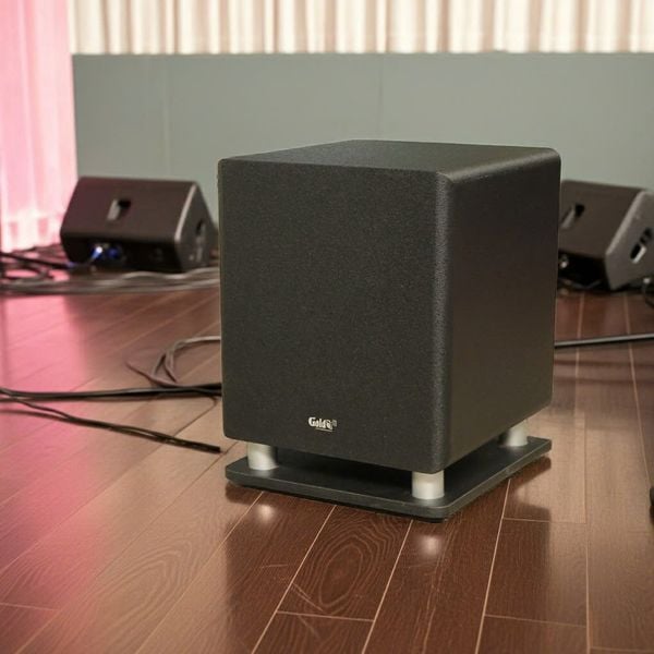 Loa Sub điện D57 (570w, bass 30)