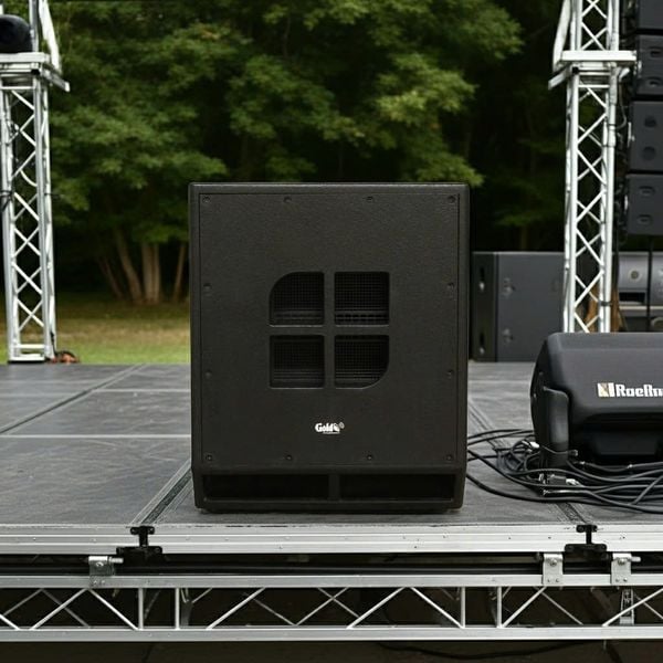 Loa sub điện D75 (1200w, bass 40)