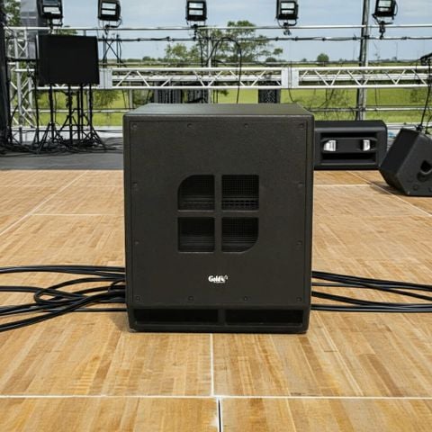 Loa sub điện D71 (1100w, bass 40cm)
