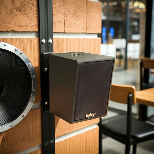 Loa vệ tinh treo tường C25 màu đen (số lượng 01 loa), công suất 23w, loa bass 4 inch, treble 5 cm, kích thước rộng 17 cm, cao 24 cm, sâu 22.5 cm, bảo hành dài hạn 5 năm.